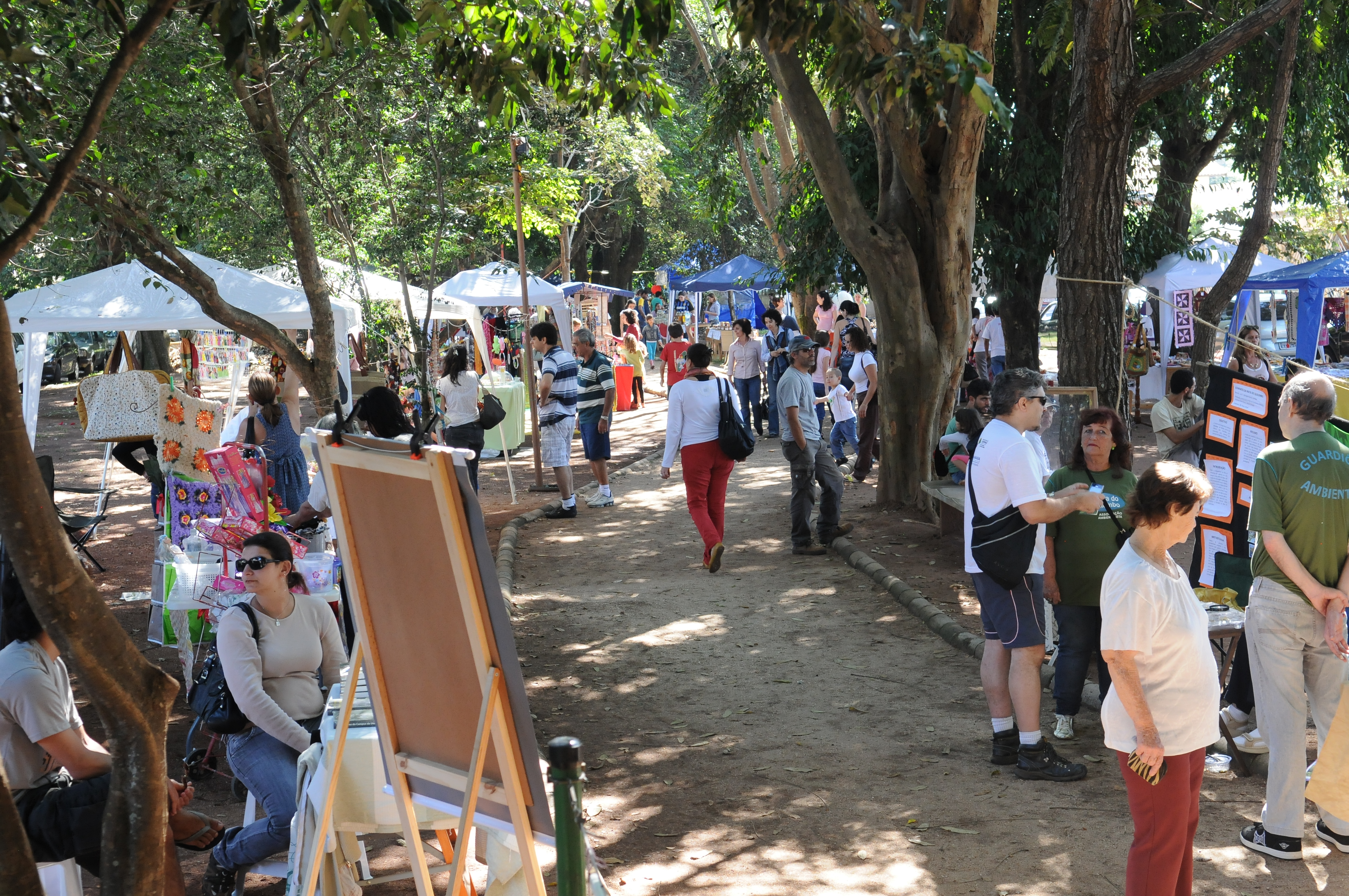 Quem for à feira da Praça do Coco no dia 09/05 ouvirá sons que estão espalhados pelos céus de Campinas, mas nem sempre são percebidos
