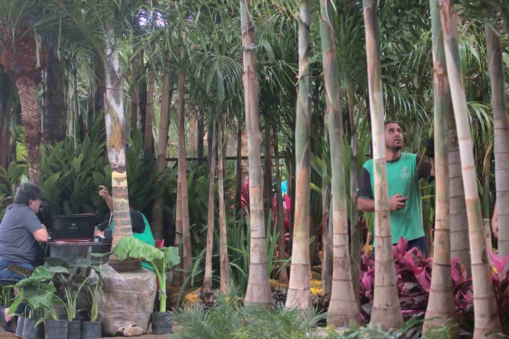 O edital trata da permissão remunerada de uso de áreas comerciais no Mercado de Flores, um dos espaços mais tradicionais do complexo