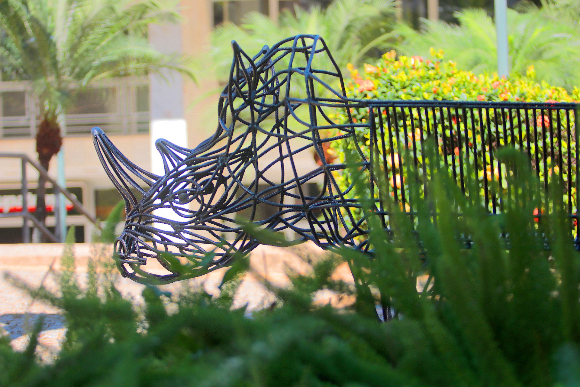 O banco 'rinoceronte' de João Caçador, instalado em frente ao MACC, no centro de Campinas