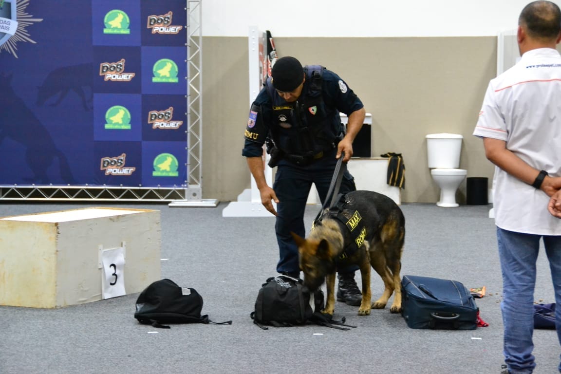 Prova de faro incluiu procura de drogas