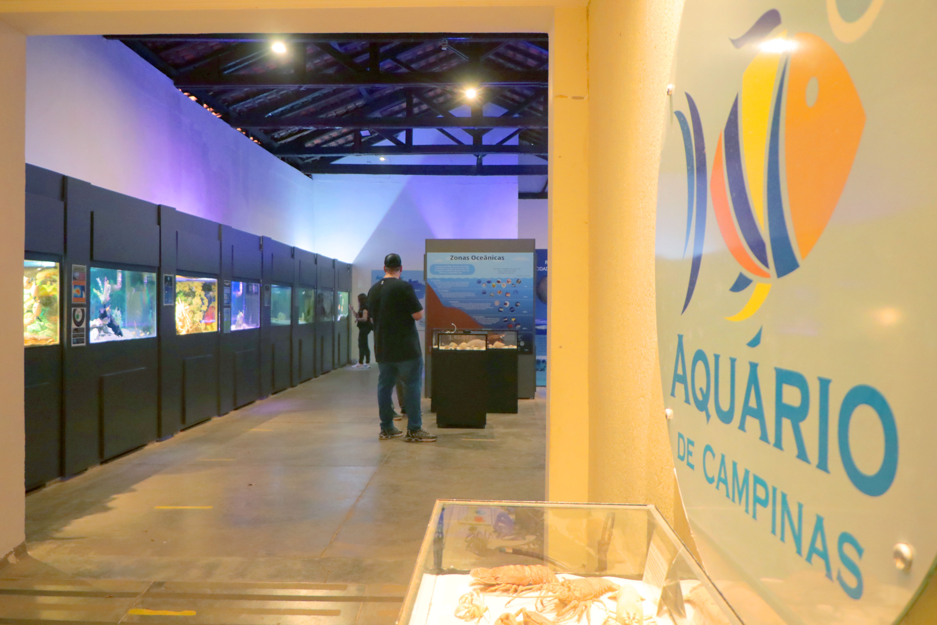 O Aquário Municipal, que fica no Bosque dos Jequitibás, estará aberto neste sábado 