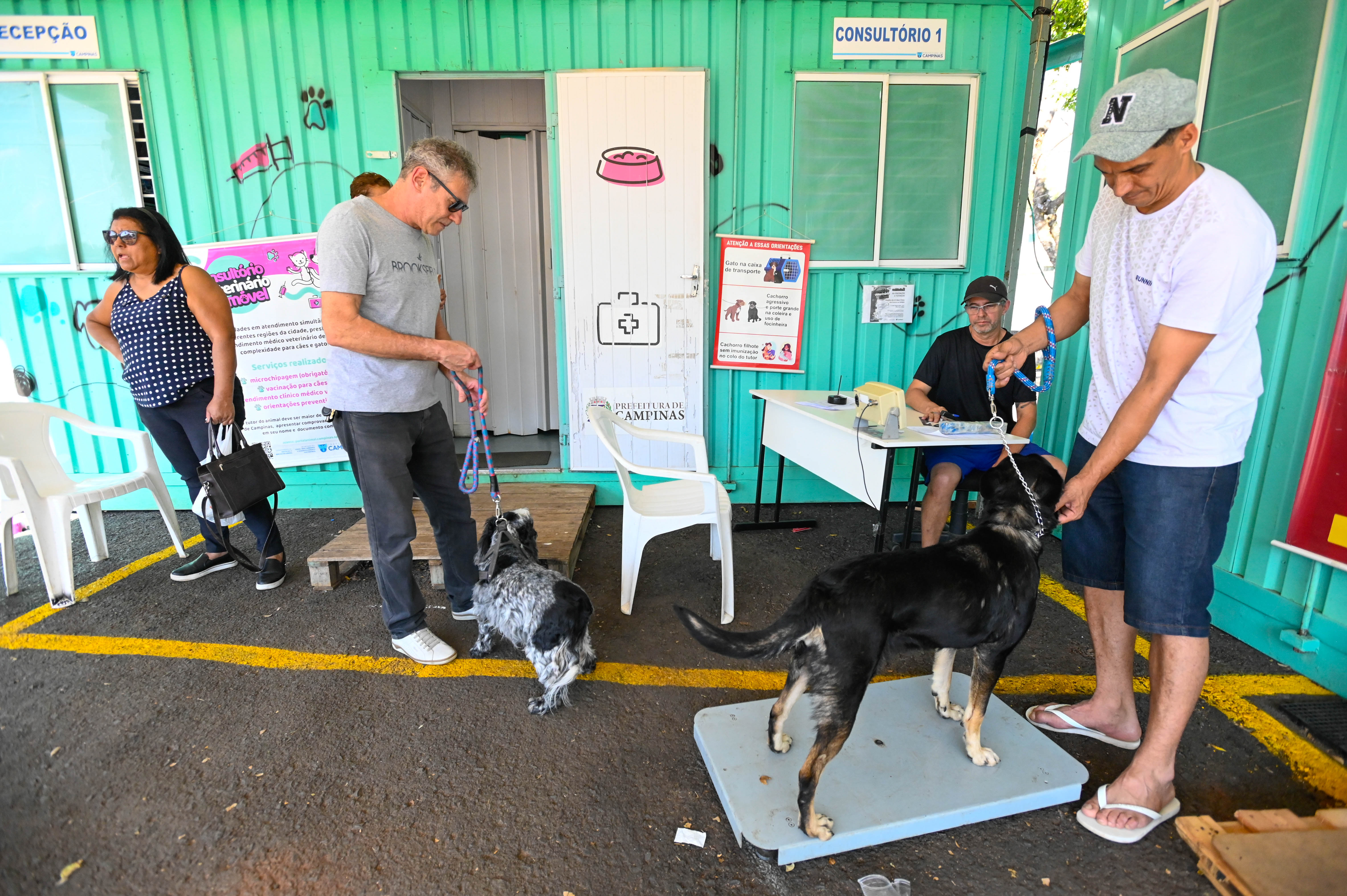 Os Consultórios Veterinários Móveis de Campinas funcionam em contêineres adaptados, equipados com três salas para atendimentos médicos veterinários e uma área administrativa
