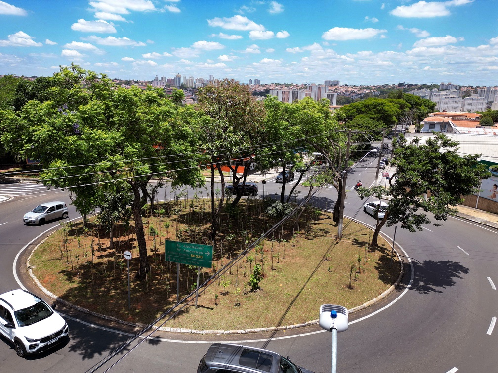 Rotatória das ruas Angelo Simões e Marechal Carmona; pequenas florestas servem como abrigos para aves