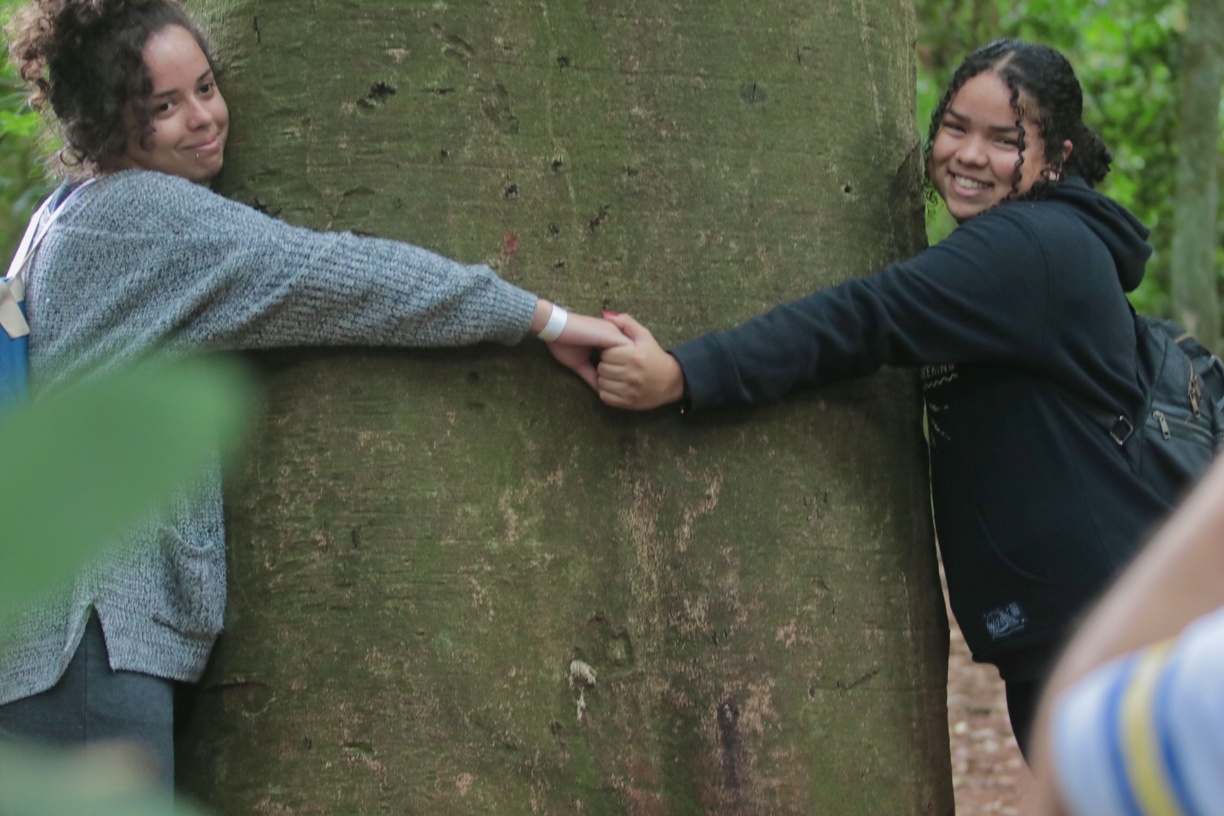 Vagas oferecem a chance de trabalhar em um local de preservação da natureza 
