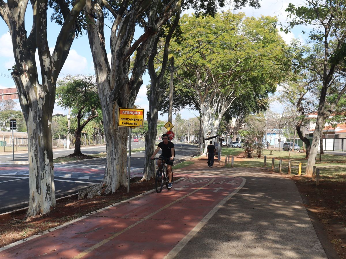 A maioria dos praticantes utiliza a bike tanto em dias úteis quanto no final de semana