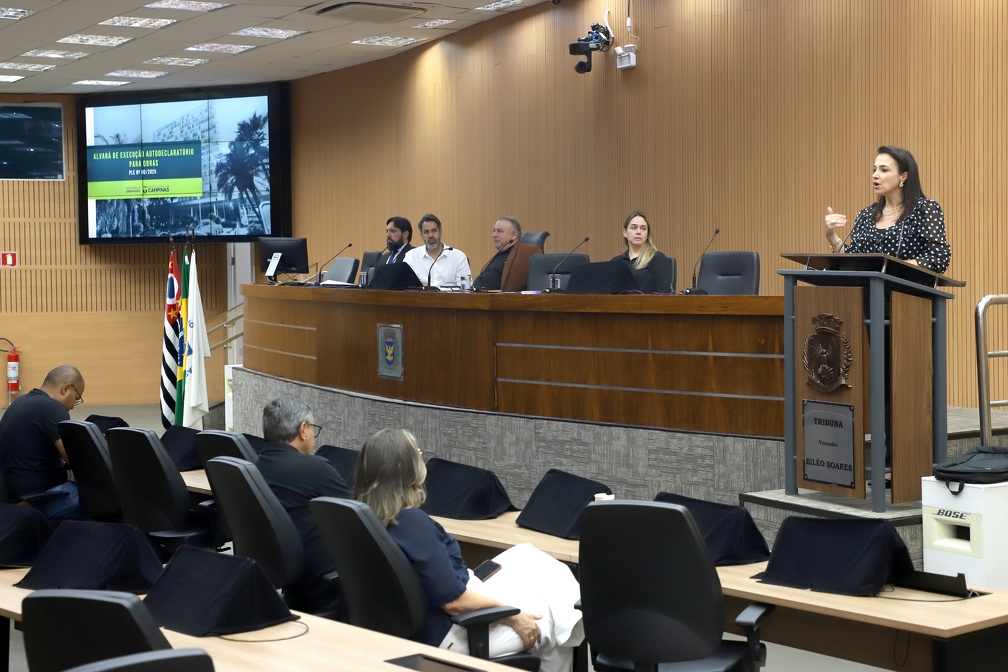 A secretária de Urbanismo apresentou a proposta