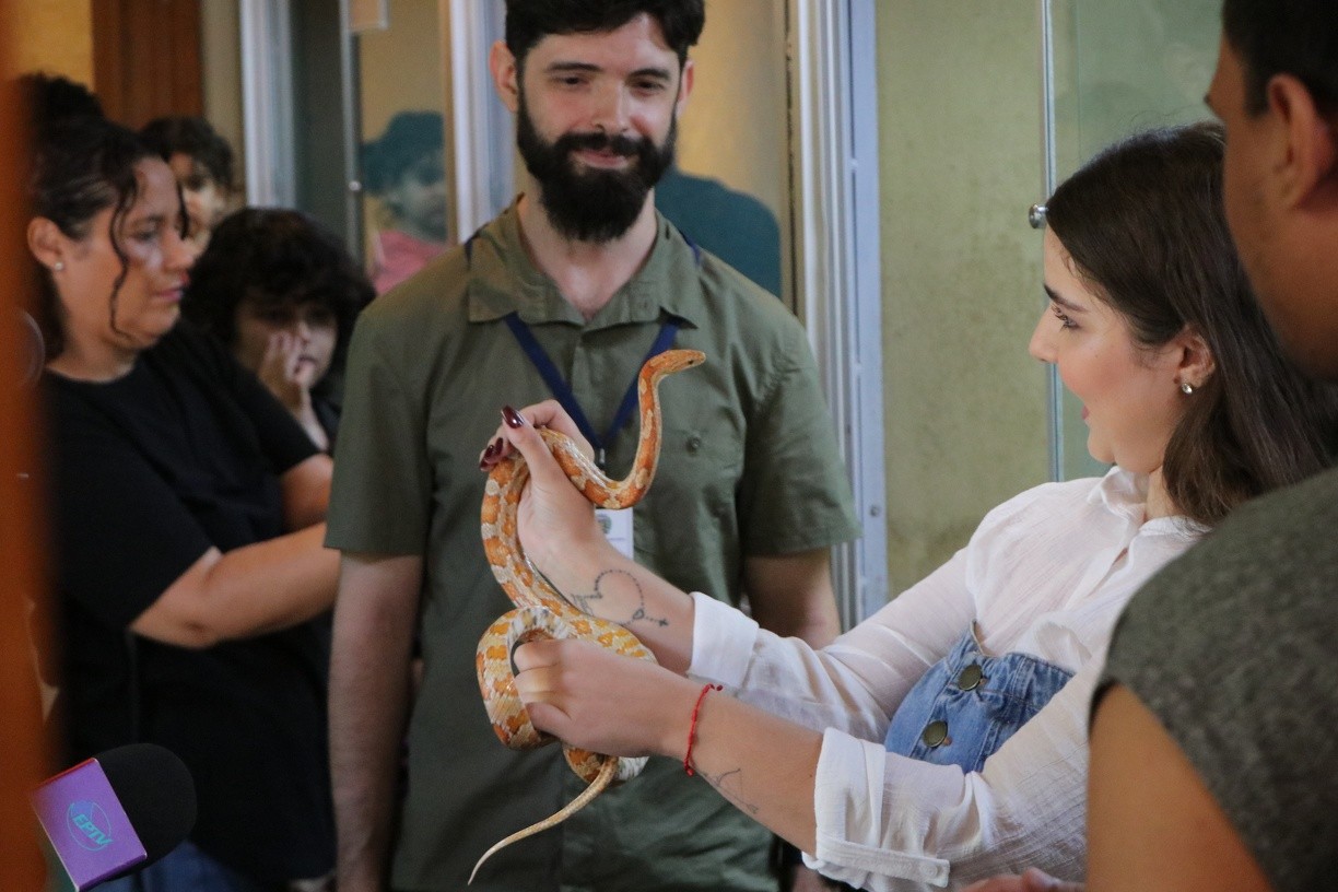 O Bosque Interativo será realizado das 9h às 15h, no sábado 