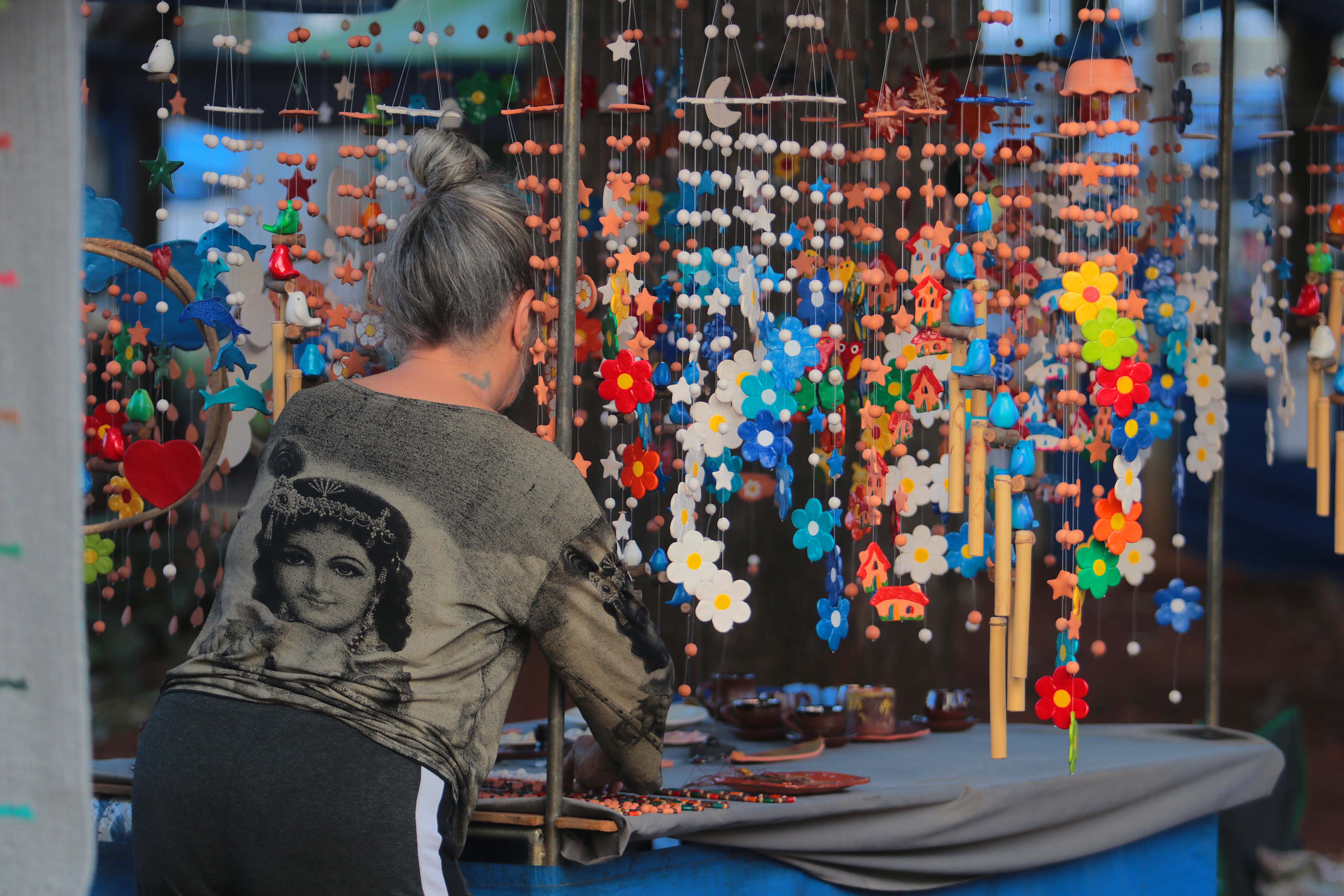 Os aprovados se dividirão em oito categorias, incluindo Artesanato, Artes Visuais e Costuras Criativas 