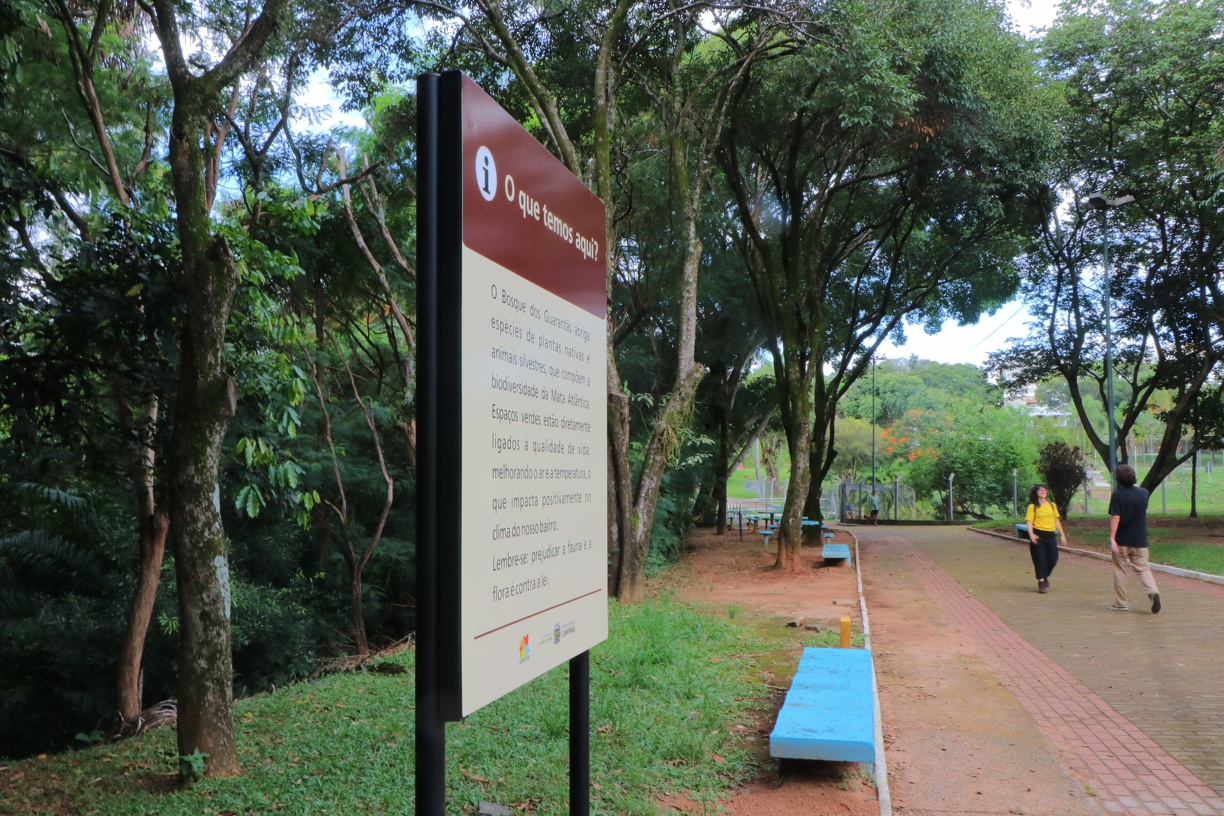 Bosques da cidade oferecem áreas verdes para caminhar e ter contato com a natureza 