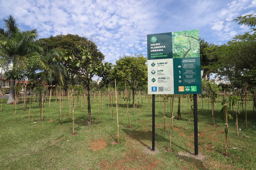 As microflorestas são implantadas em pequenas áreas livres dos bairros