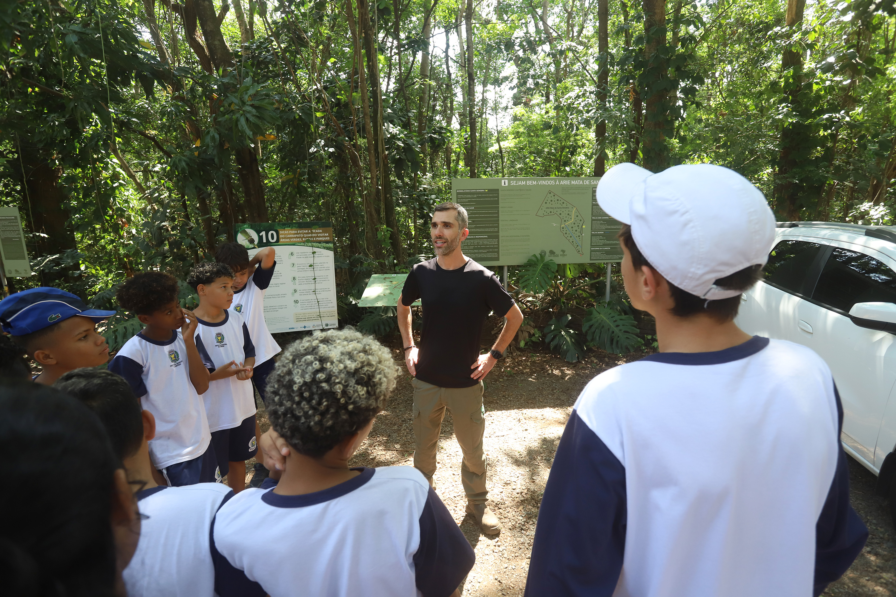 Antes, um bate-papo sobre a floresta