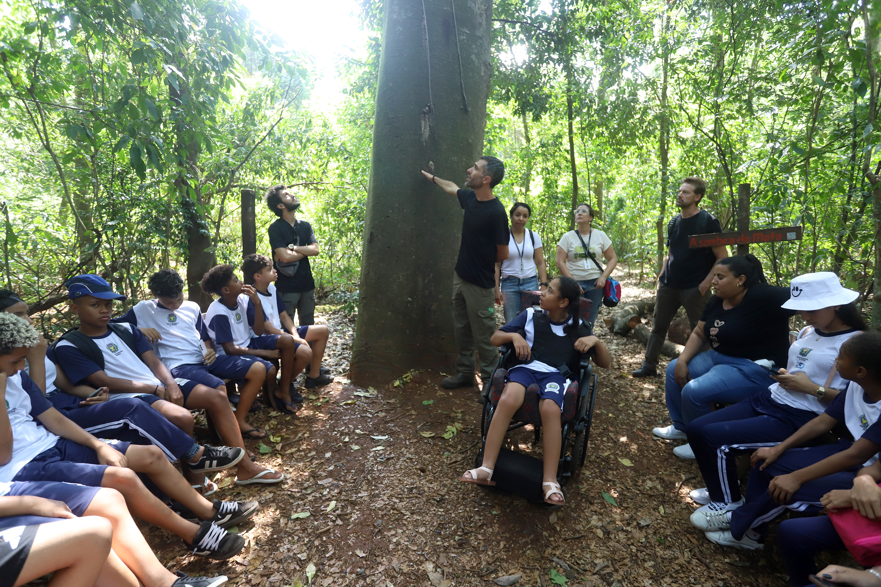 Estudantes conheceram o jatobá gigante, uma das atrações da Mata