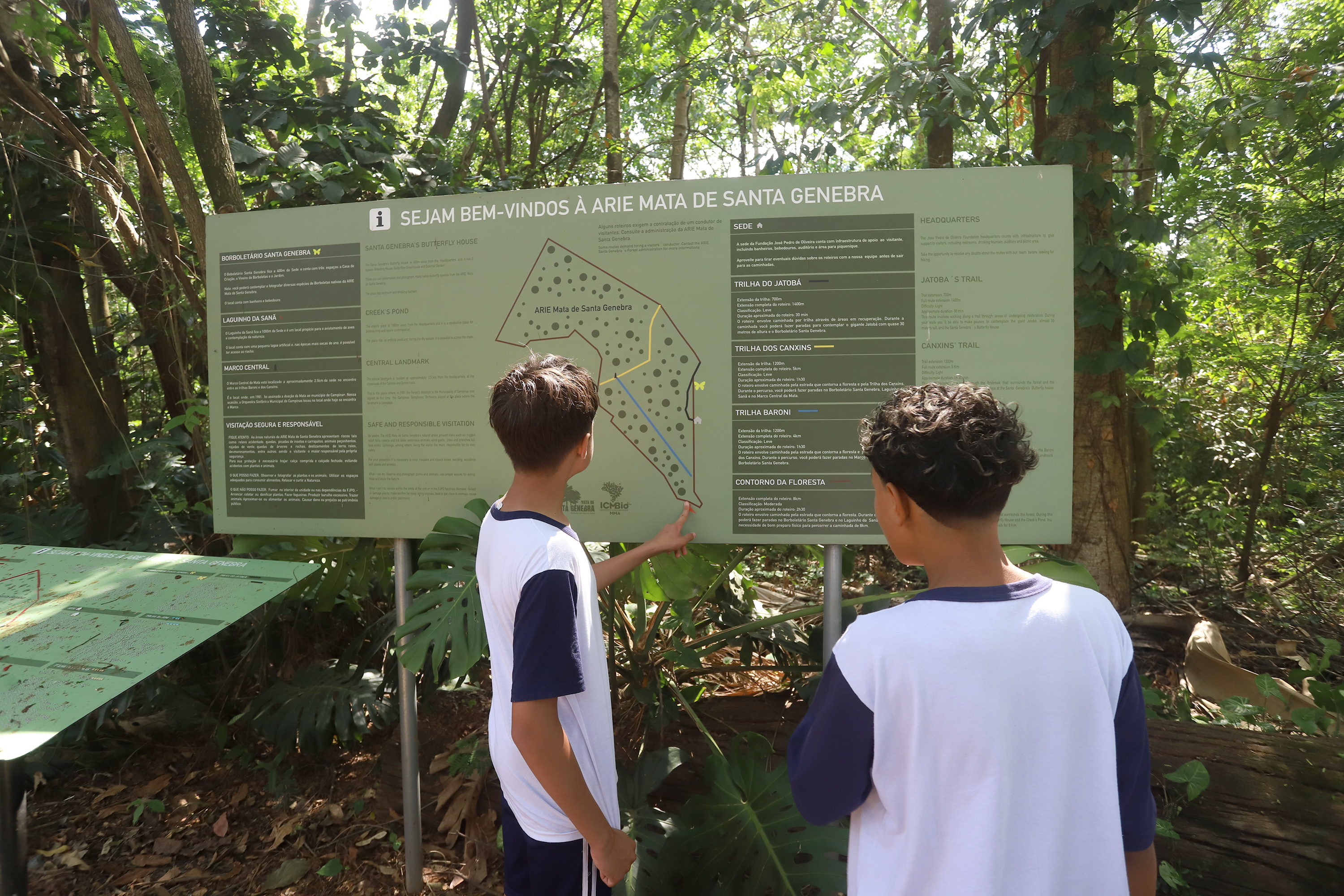 Estudantes observam no mapa as atrações da Mata