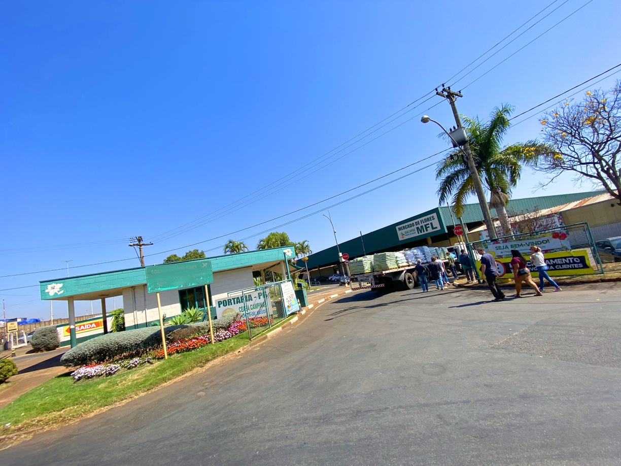 O 1º Encontro de Carros Antigos da Ceasa acontece das 9h às 16h no bolsão atrás do Mercado de Flores