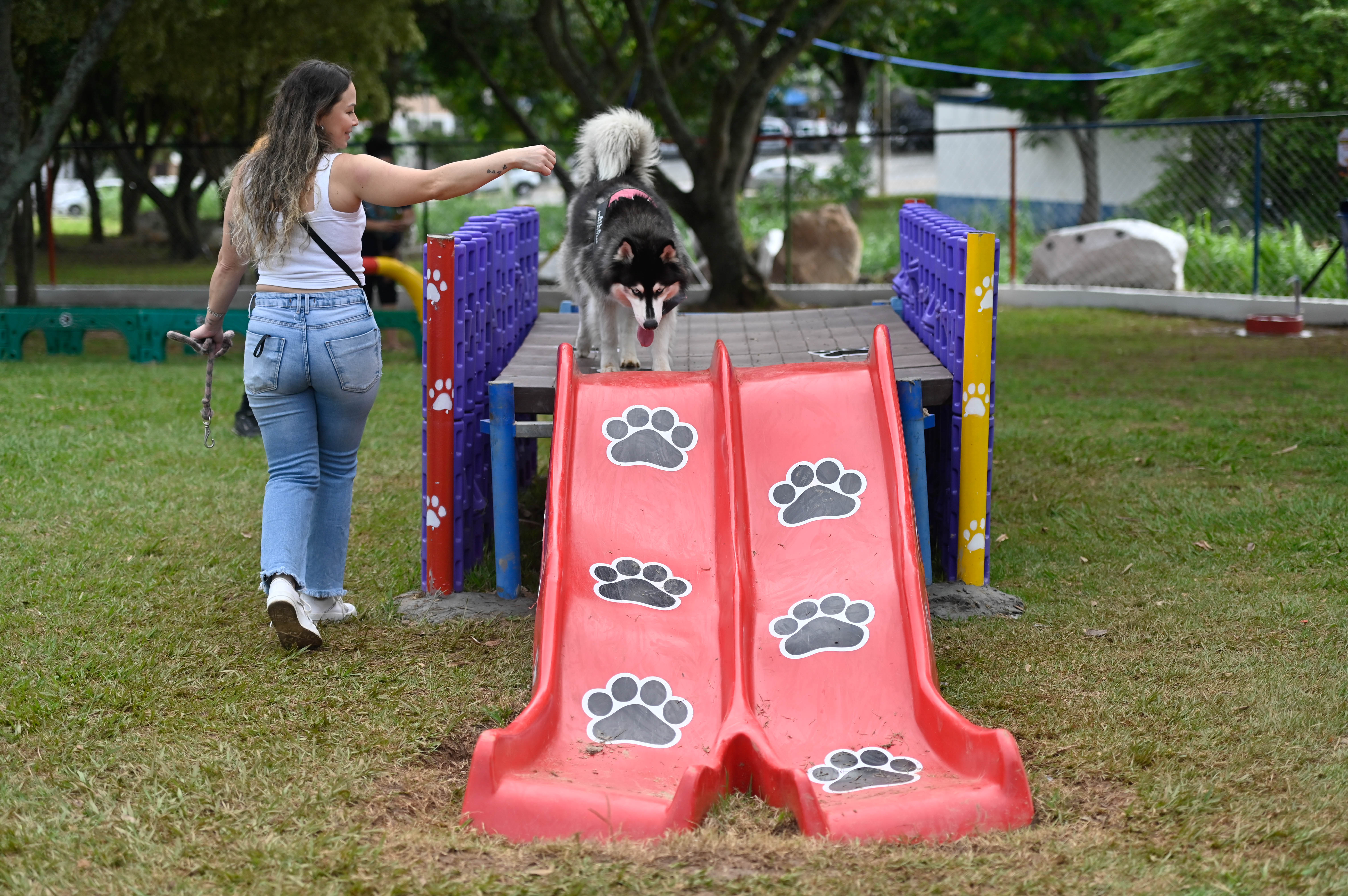 Praça Roma Palazzi Brasio passará a contar com um Parcão-Espaço Pet a partir de sábado