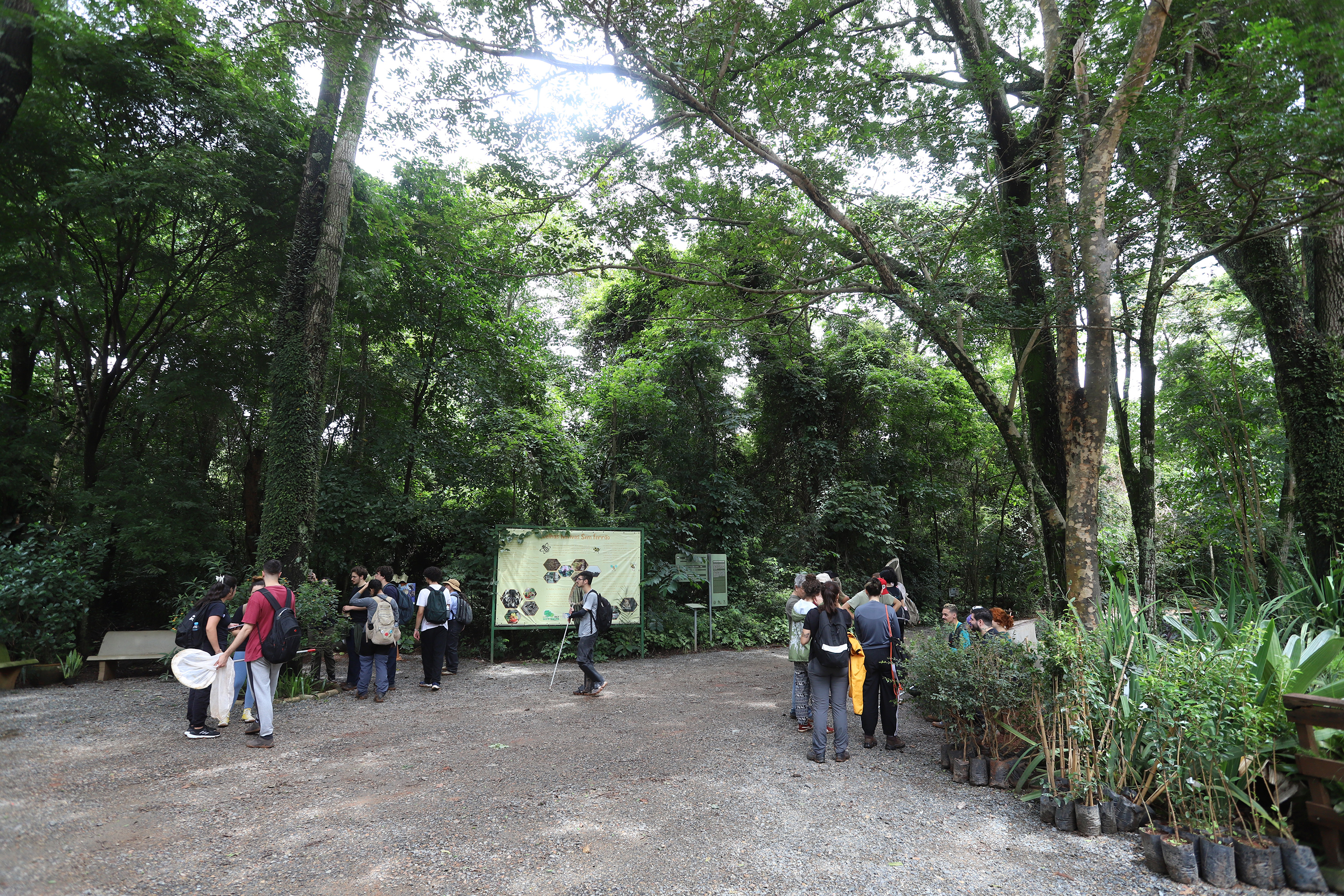 As visitas à Mata podem ser autoguiadas ou monitoradas, individuais ou em grupo, porém, em qualquer caso, deve-se fazer o agendamento
