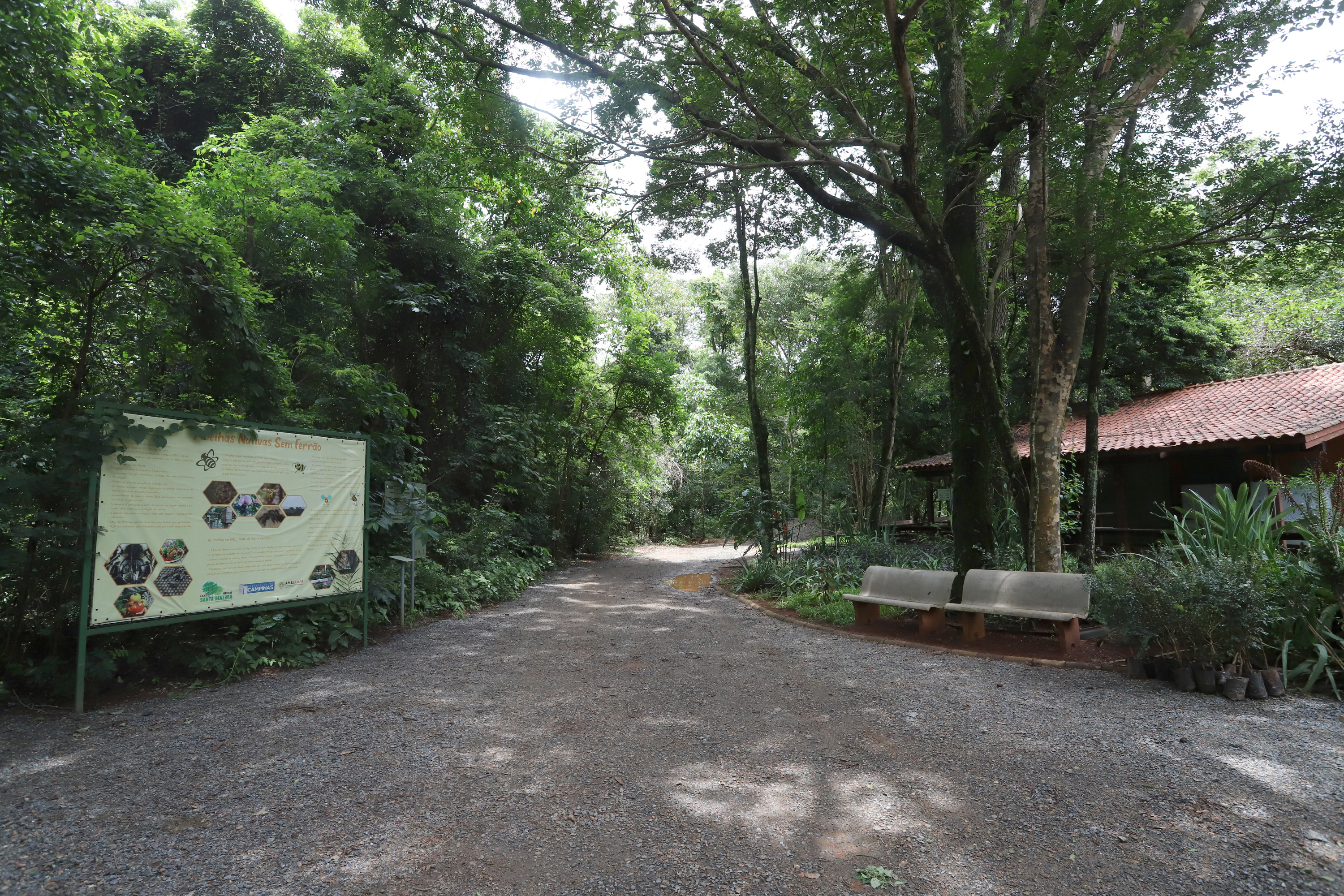 Fundação que administra a Mata Santa Genebra conquista espaço em órgão nacional de prevenção a incêndios 