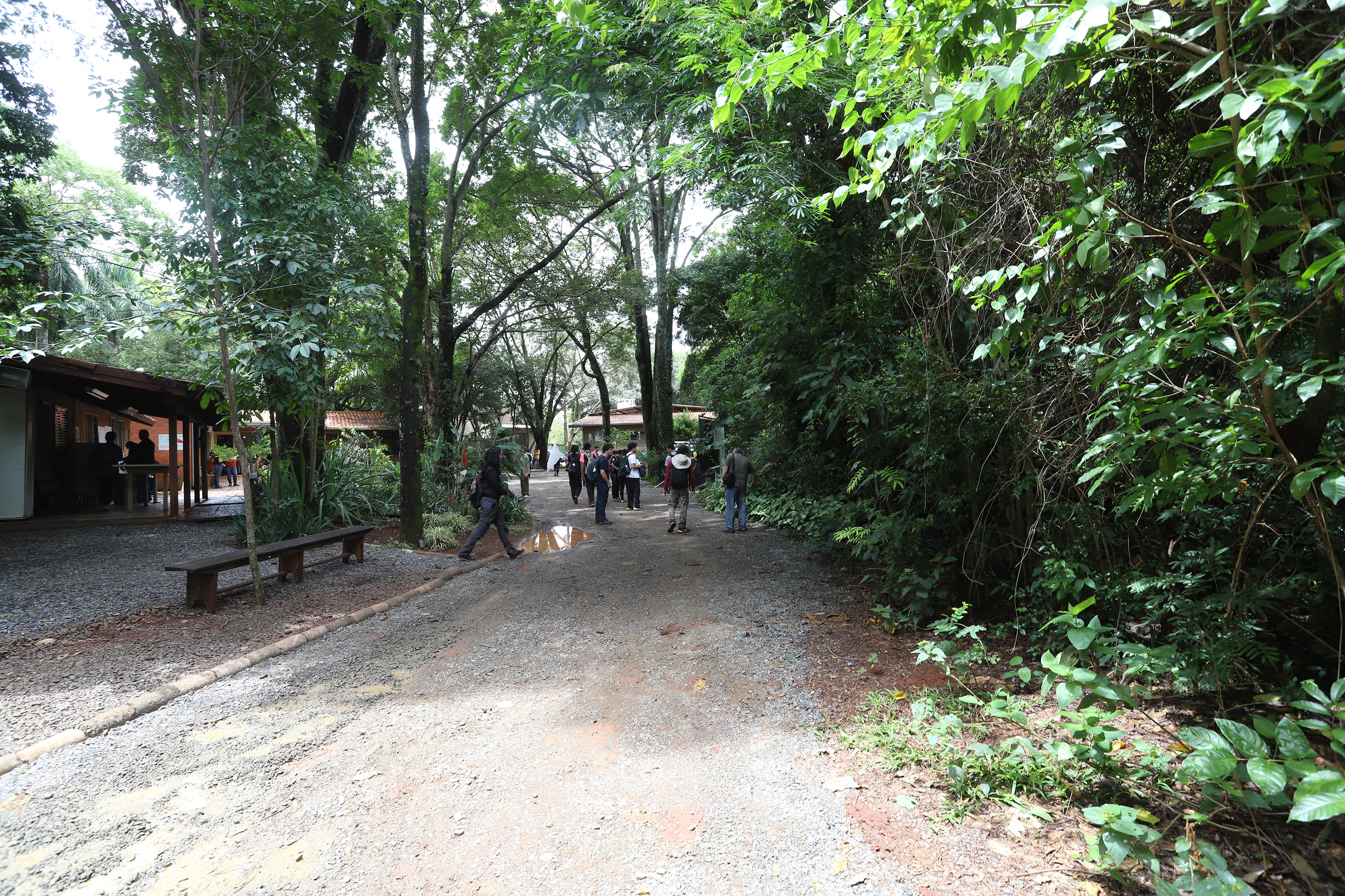 A visita à Mata Santa Genebra já virou tradição no programa acadêmico