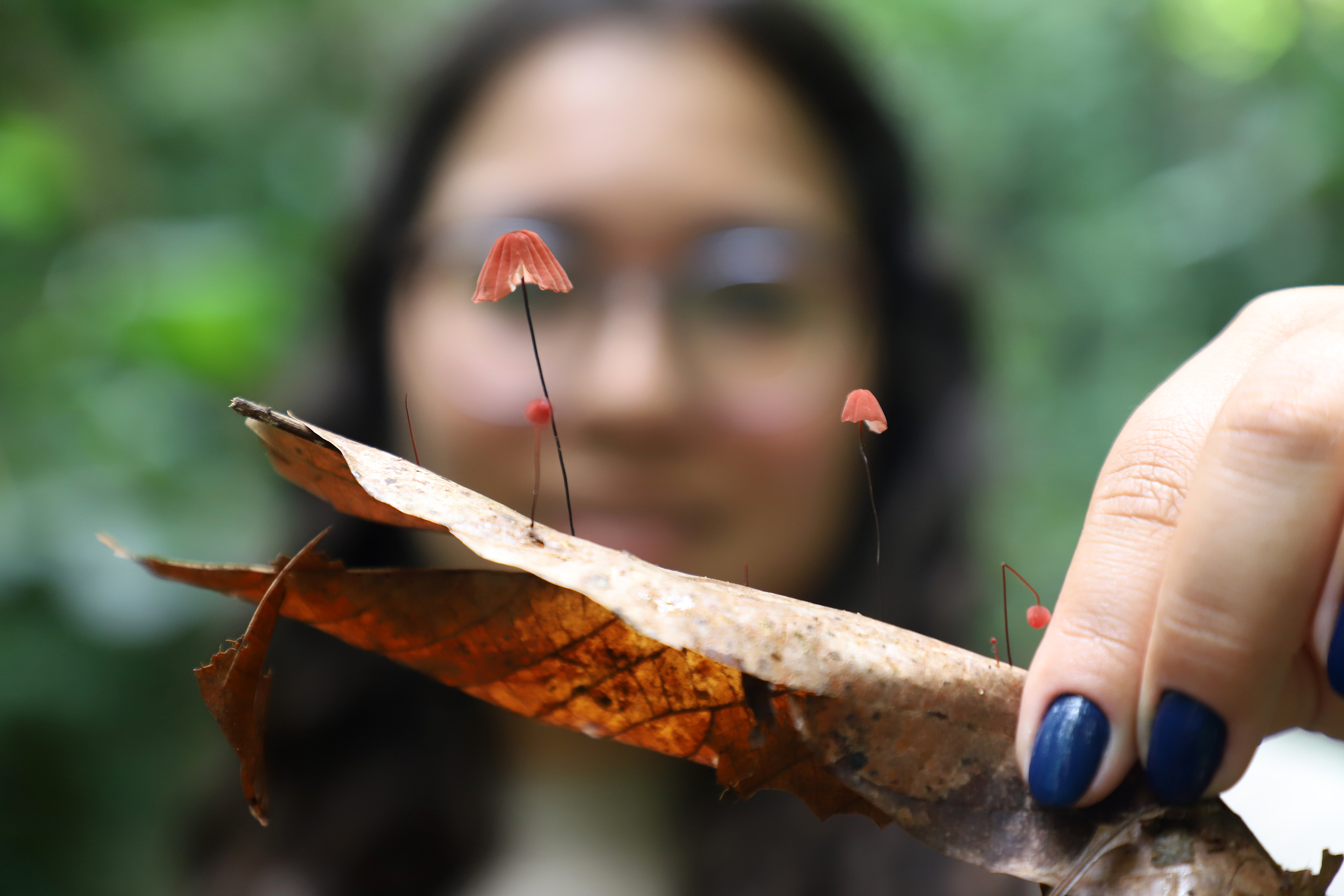 Visitas promovem o envolvimento dos participantes na conservação da Mata e na preservação da biodiversidade local