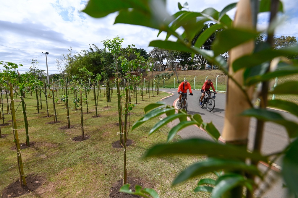 No Taquaral: uma microfloresta dentro do parque