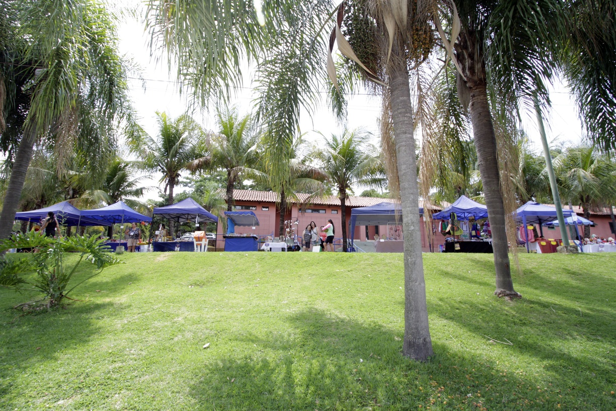 Micro e pequenas empresas podem optar pelo Simples Nacional para facilitar o recolhimento de tributos