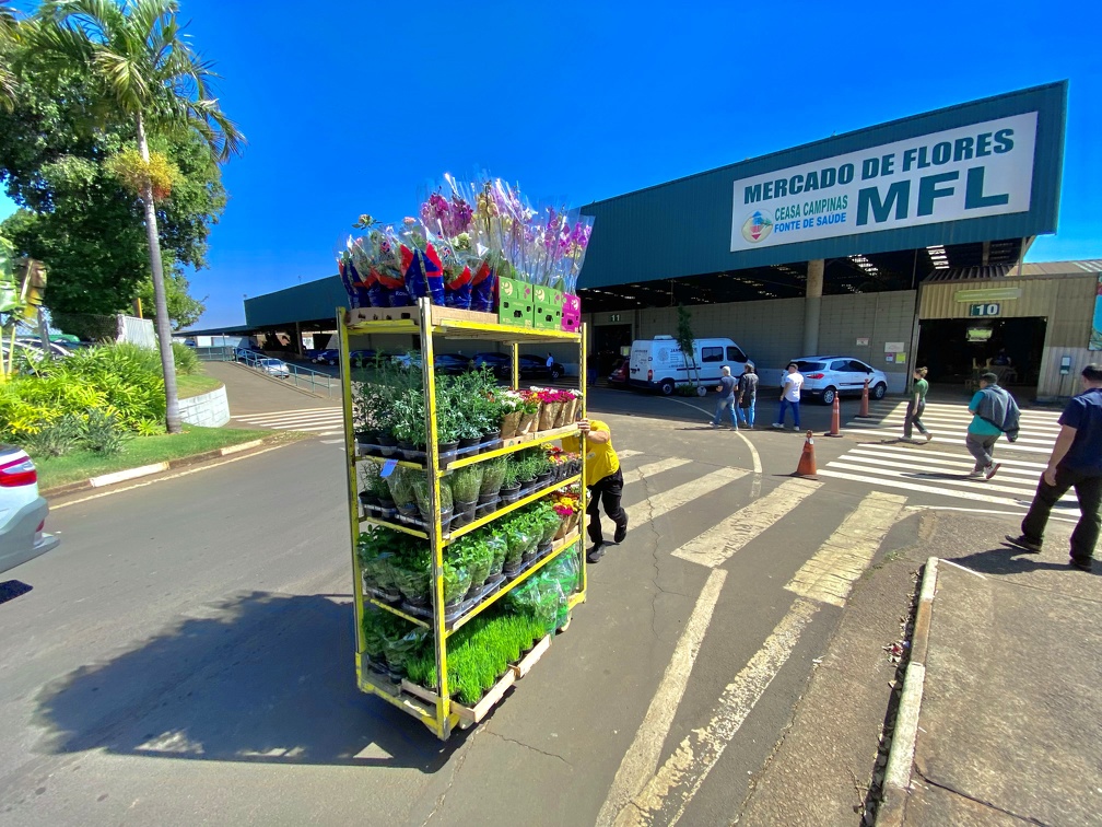 Música e exposição de carros vão marcar o final de semana do Mercado de Flores 