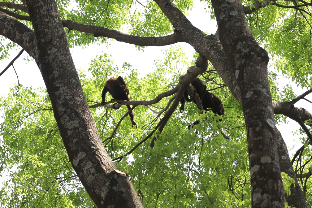 O processo seletivo visa preencher vagas imediatas e formar cadastro reserva 