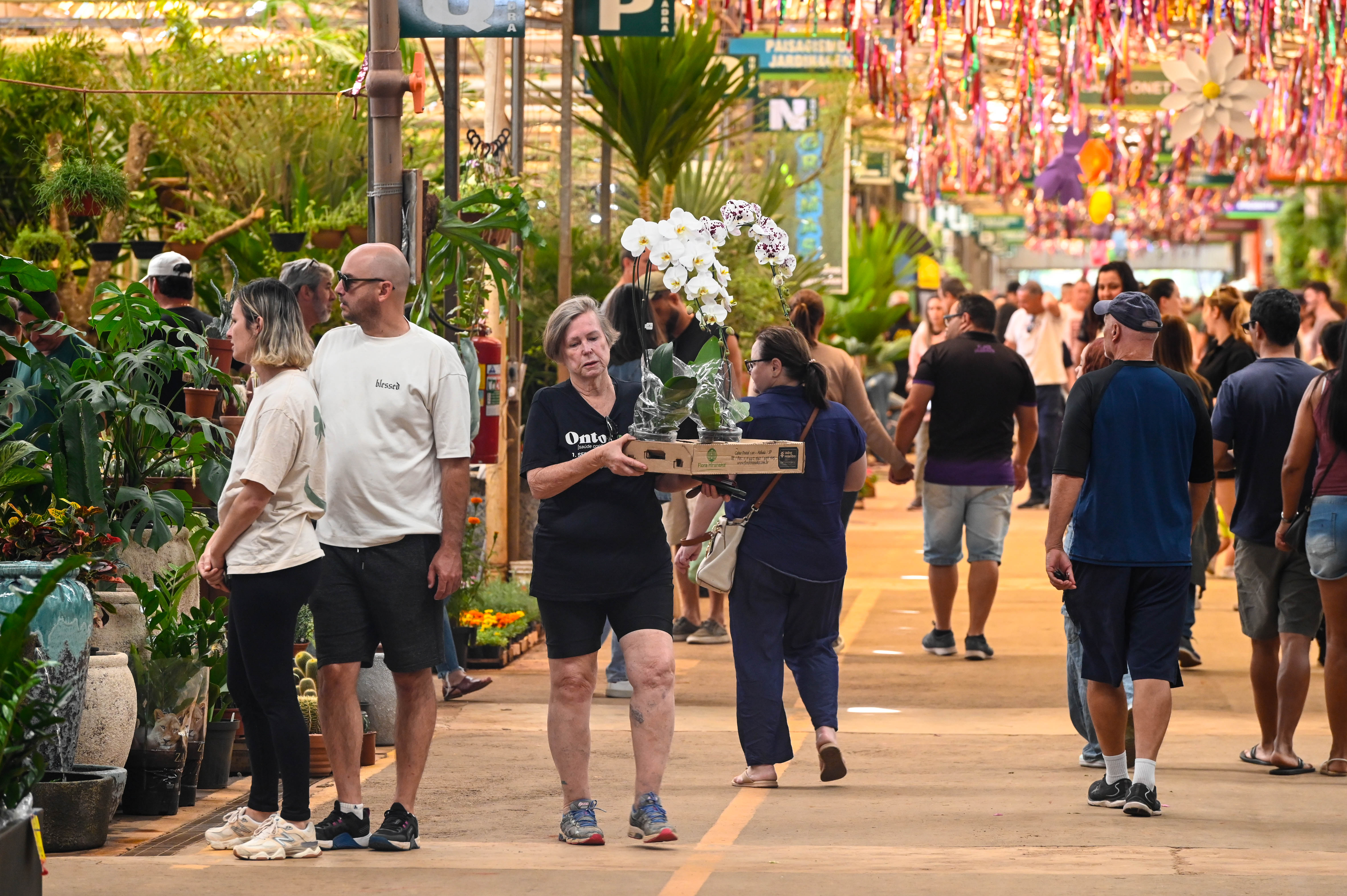 Crisântemo, a calandiva e o kalanchoe foram os produtos mais procurados pelos visitantes