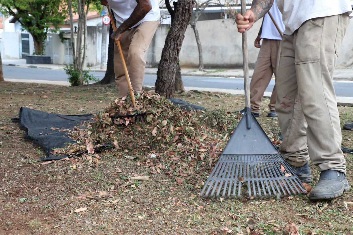 No Parque dos Cisnes, região Sul de Campinas, ruas, avenidas e áreas verdes estão recebendo os serviços de roçagem e limpeza