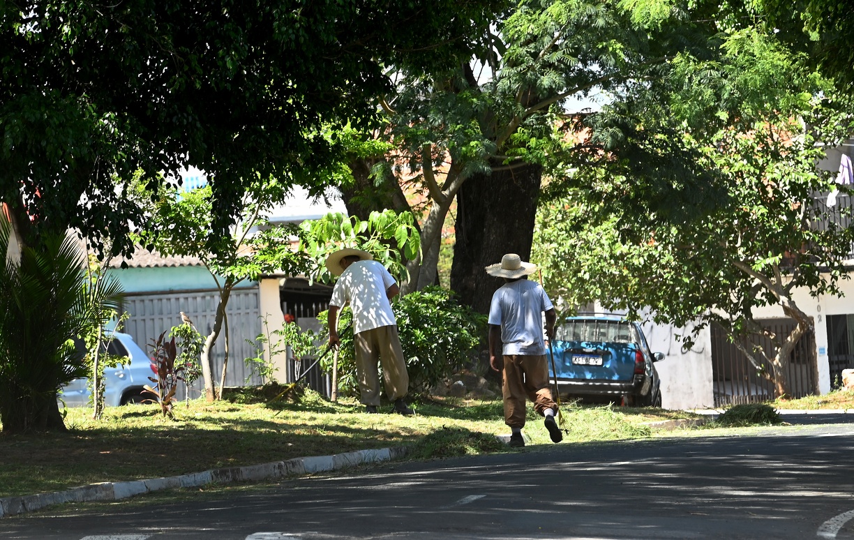 Praças e canteiros centrais também receberão ações