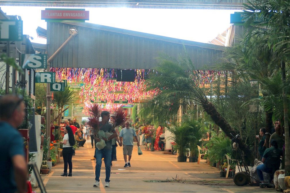 Processo de licitação começa em 15 de setembro e define permissionários para espaços de flores, plantas e paisagismo