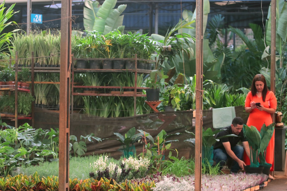 A ação de conscientização sobre tumores femininos e cuidados integrais à saúde da mulher será realizada no Mercado de Flores da Ceasa