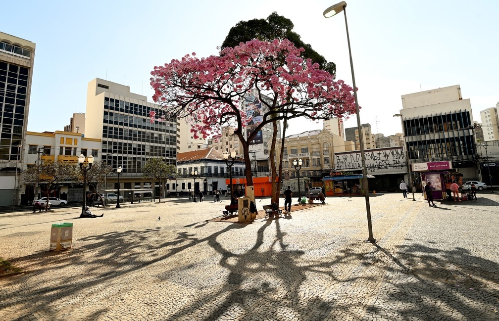 Além dos produtos tradicionais, o público encontrará brinquedos artesanais e criativos, ideais para presentear os pequenos e valorizar o trabalho dos artesãos campineiros