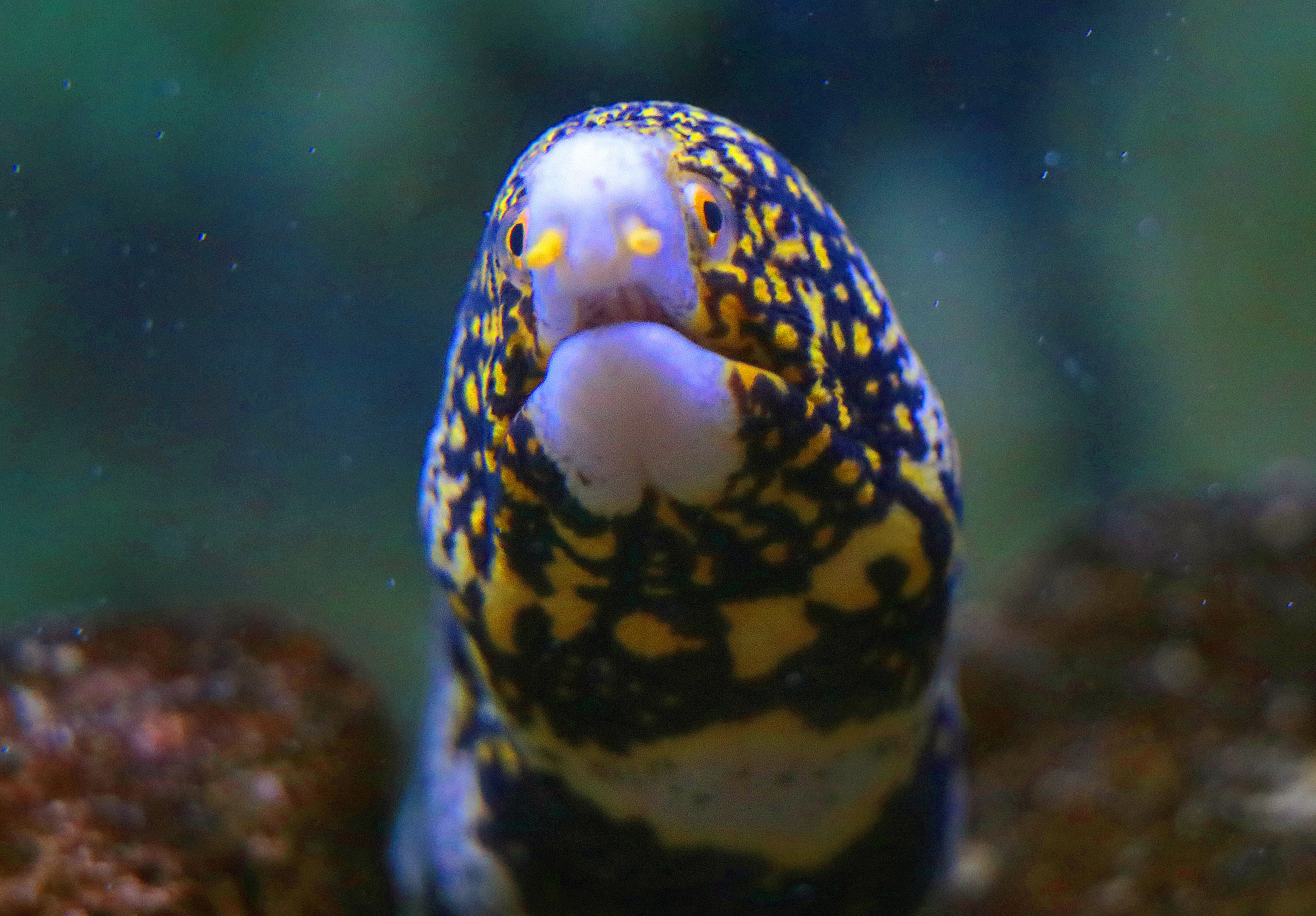 Obras garantem mais segurança para ambos os espaços 