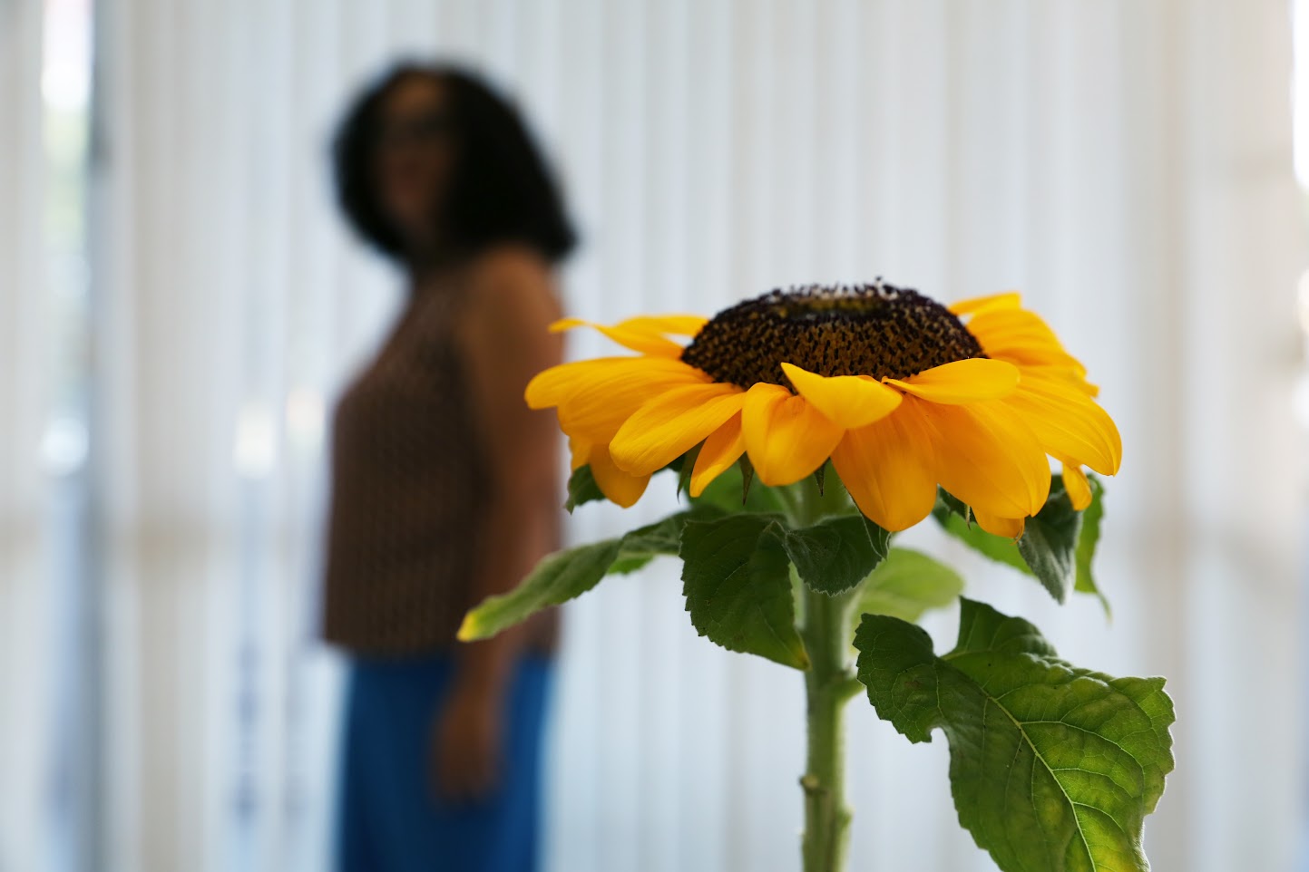 A jornada pode não ser fácil, mas o primeiro passo de coragem encontra abrigo e força nas várias áreas institucionais que oferecem segurança, solidariedade e caminhos para reconstruir a vida