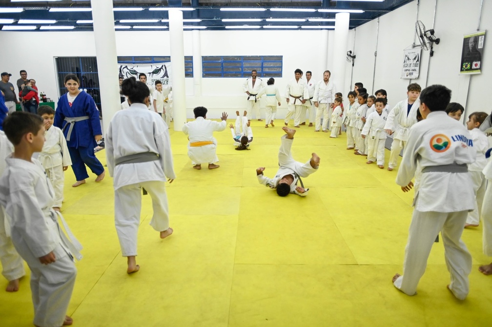 As modalidades incluem Judô, Taekwondo, Karatê, Kung Fu e Sanda (boxe chinês). As aulas acontecem de segunda a sexta-feira, com turmas de no máximo 20 alunos