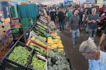 Consumidores circulam pelas bancas de hortifrutis da Ceasa Campinas em momento de forte queda nos preços, com legumes registrando redução de até 43%