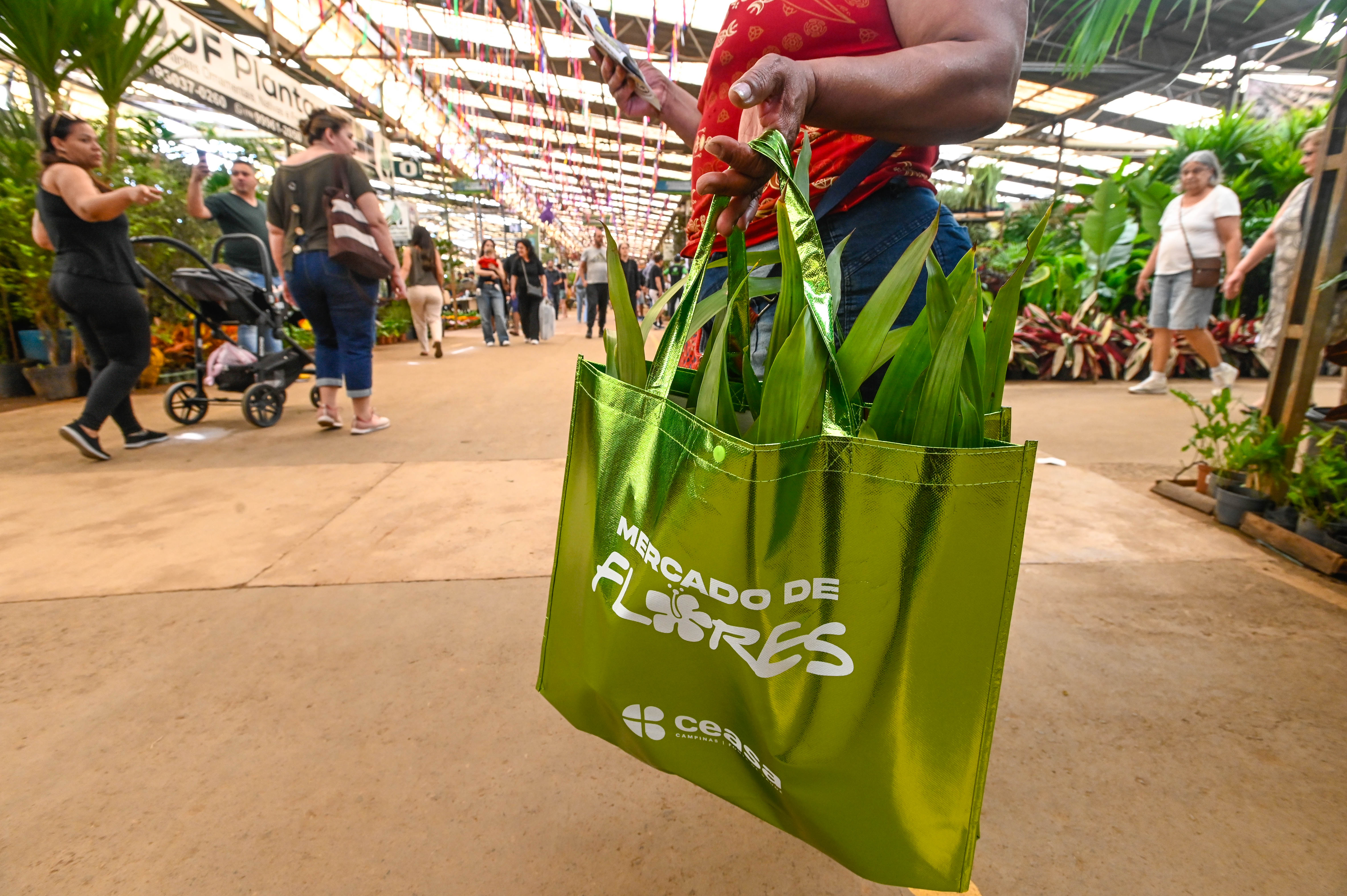 40% das plantas do Mercado de Flores são espécies de sombra