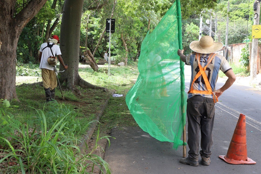 Ação reuniu cerca de 300 trabalhadores