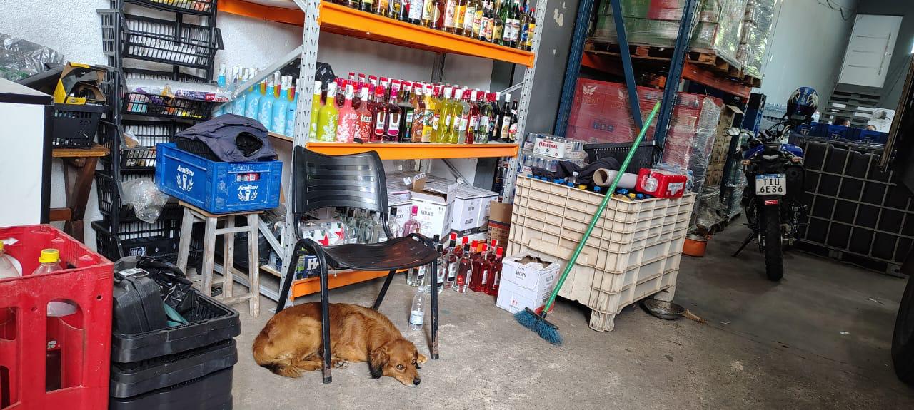 Cães circulavam pela área de estoque, com possível contaminação dos produtos