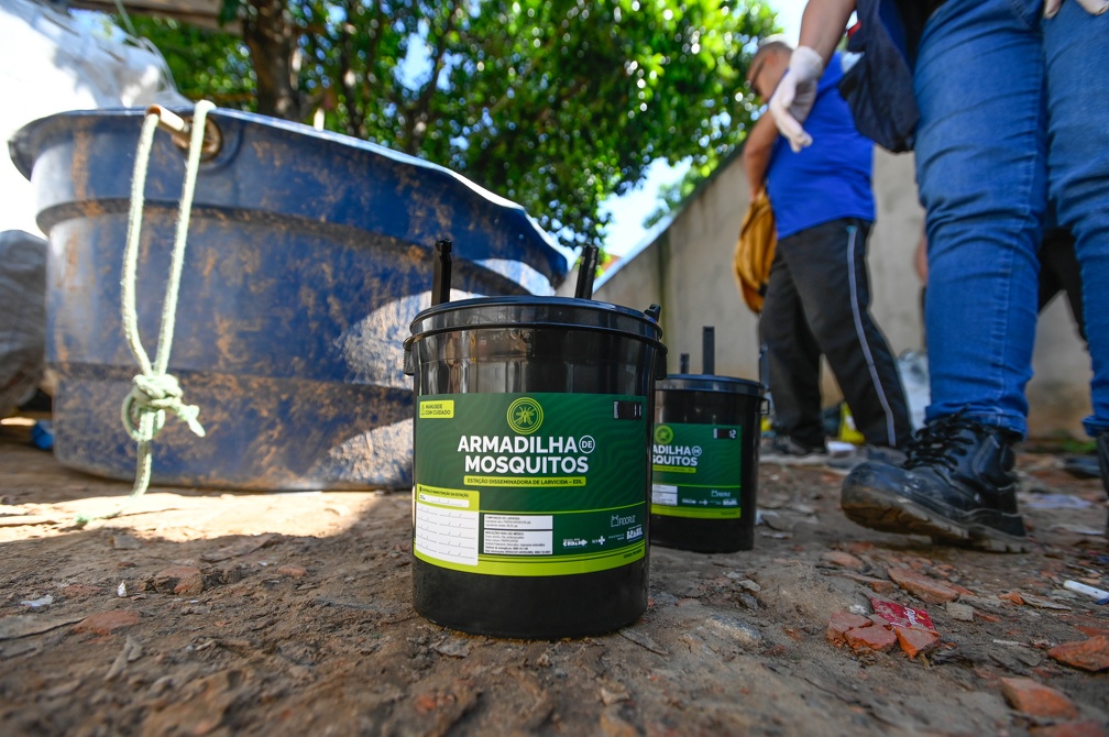 Armadilhas contra o mosquito Aedes aegypti integram conjunto de ações da Prefeitura de Campinas contra a dengue