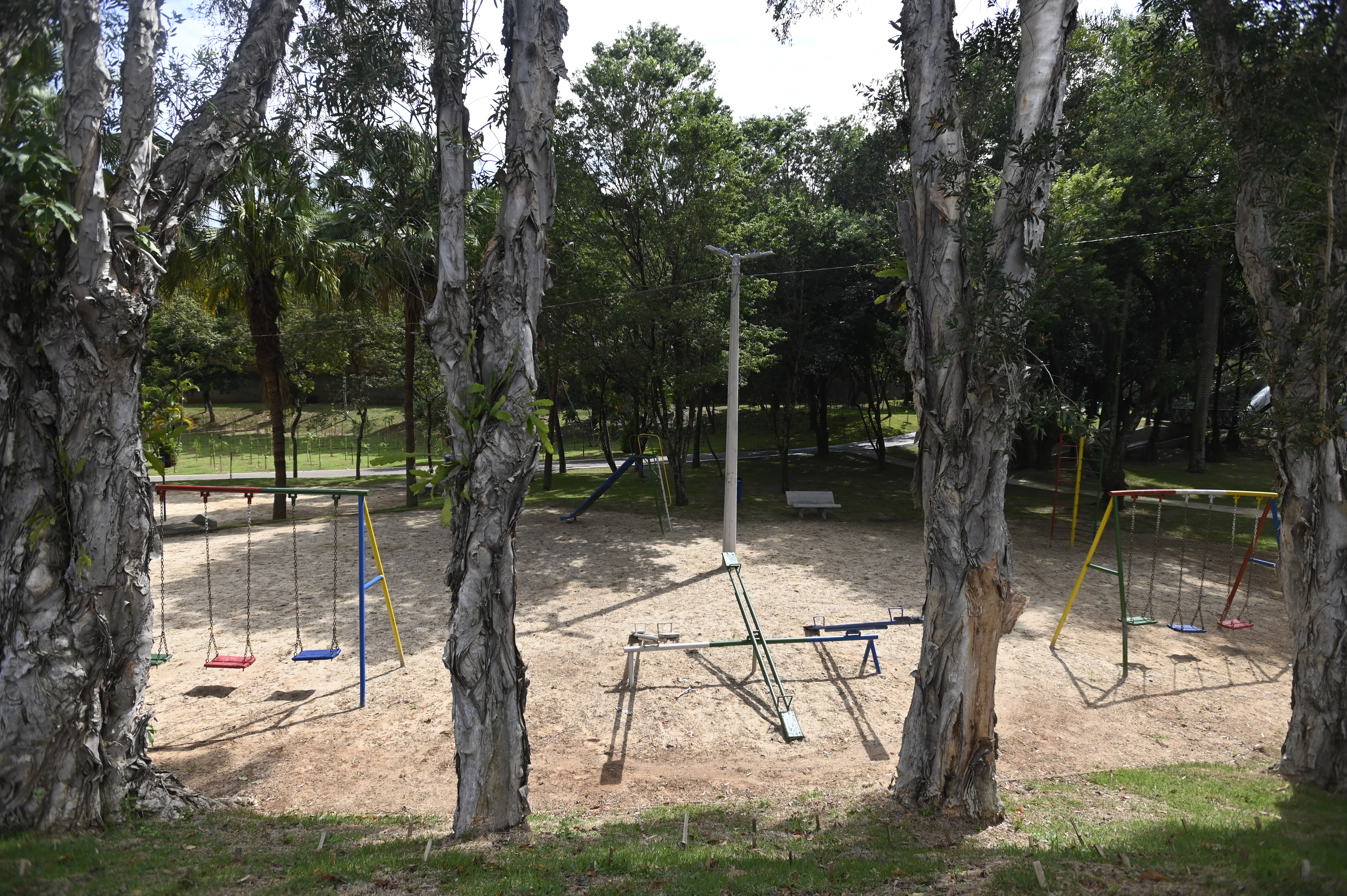 Localizado na Vila Madalena, o Bosque da Paz Yitzhak Rabin foi reaberto este ano após passar por uma renovação completa