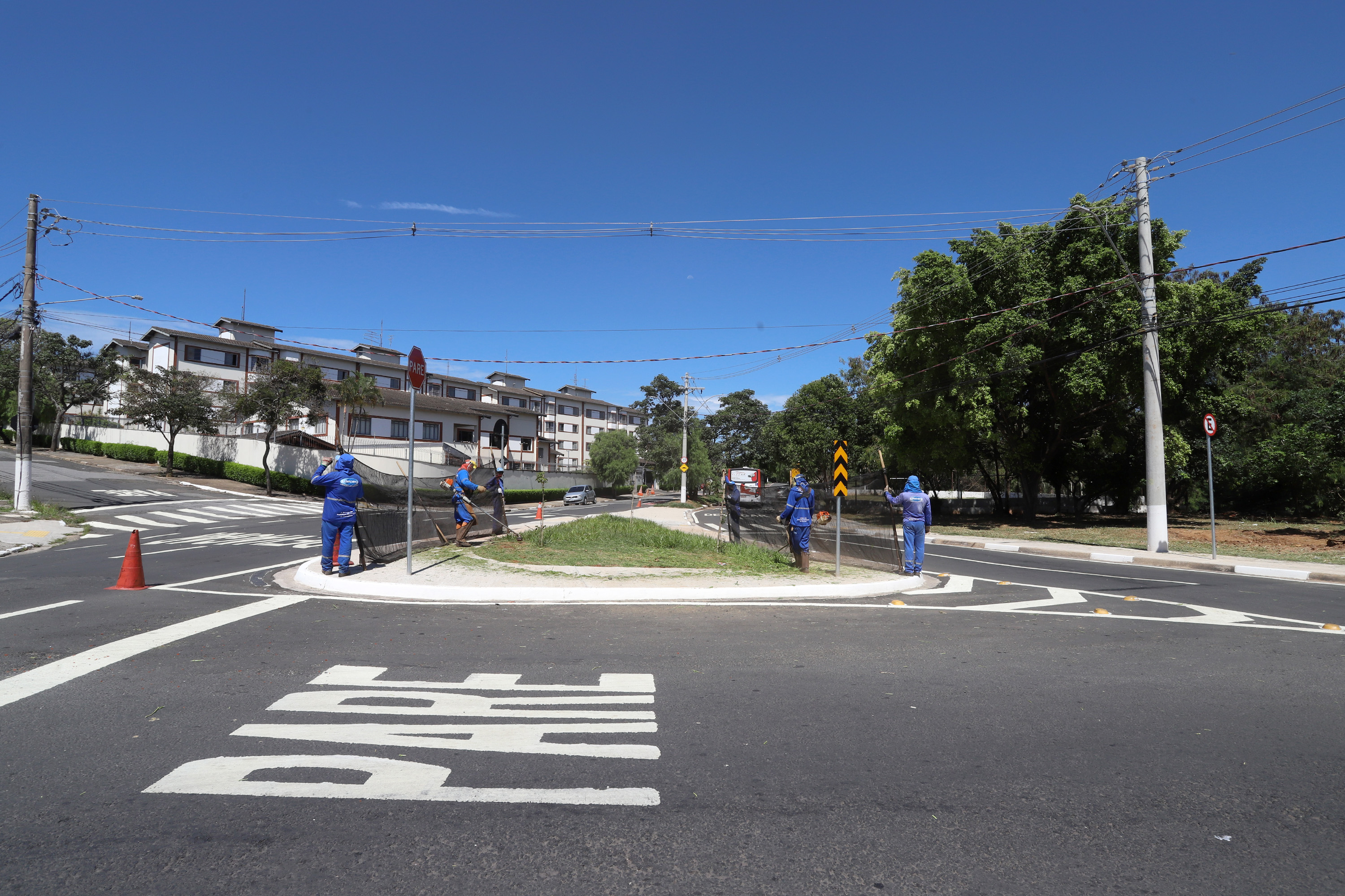 Cerca de 300 profissionais trabalharam no mutirão 