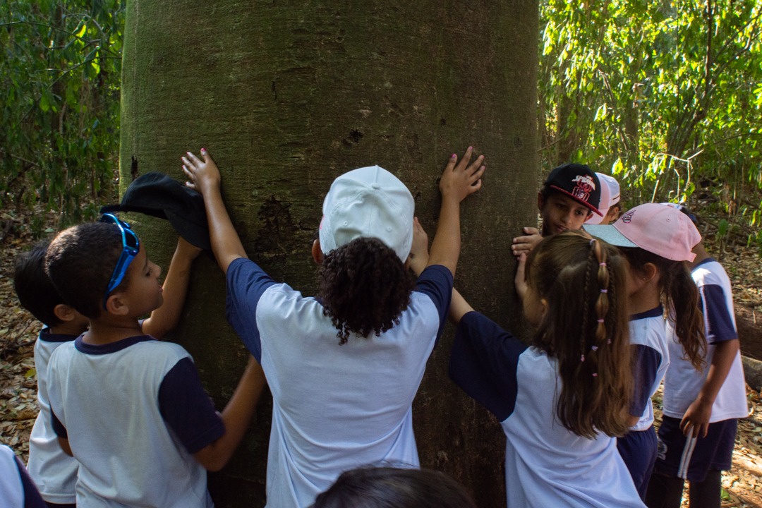 As crianças da EMEF Corrêa de Melo bem que tentaram, mas o jatobá só pôde ser abraçado quando os bracinhos se uniram