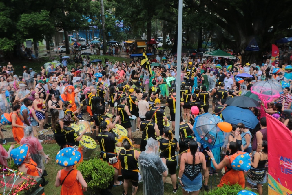 A interpretação dos dados mostra que planejamento e organização contribuem para ampliar o alcance do Carnaval