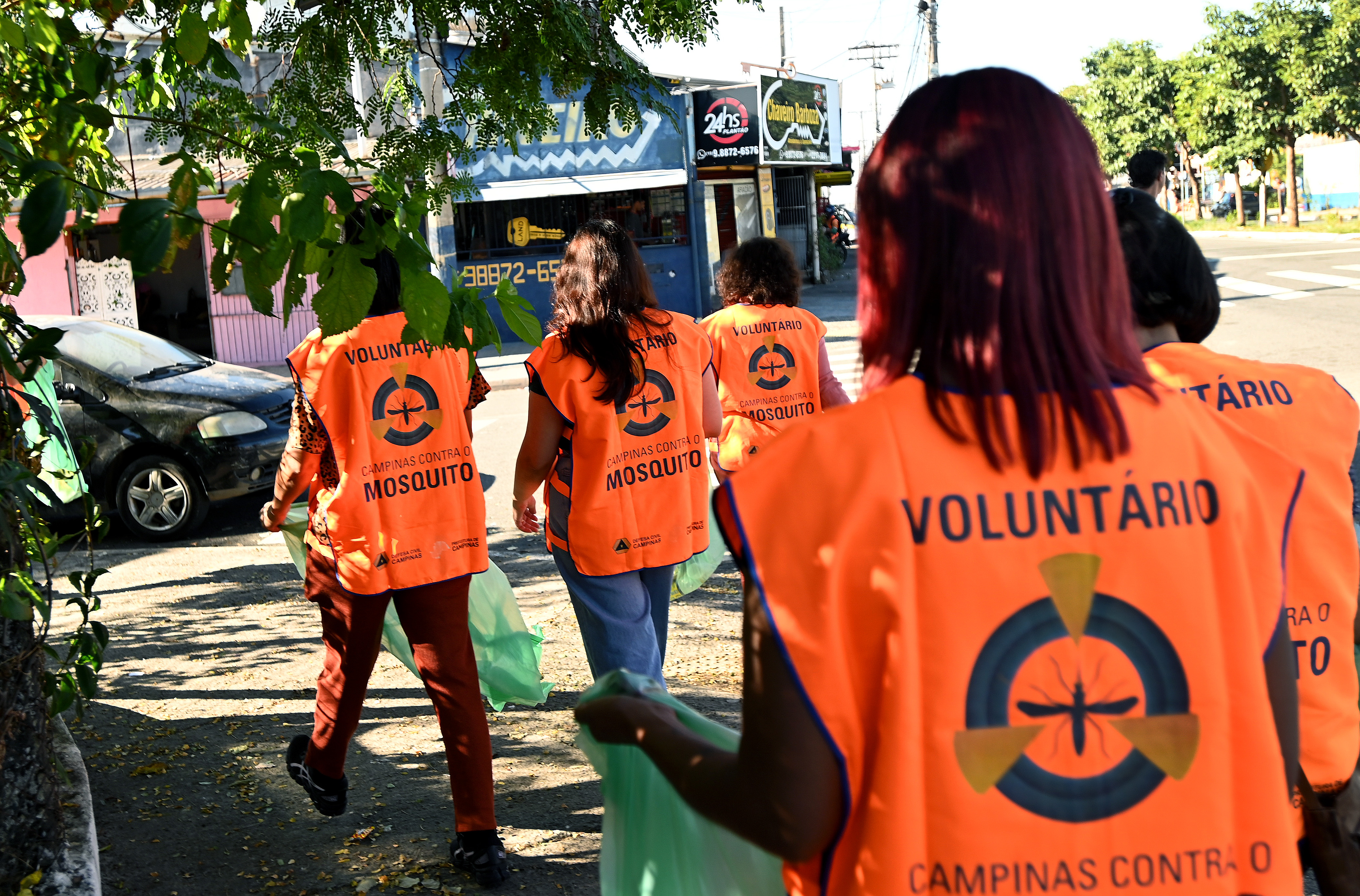 Ações de controle do mosquito Aedes aegypti, que transmite a doença, a zika e a chikungunya, serão intensificadas