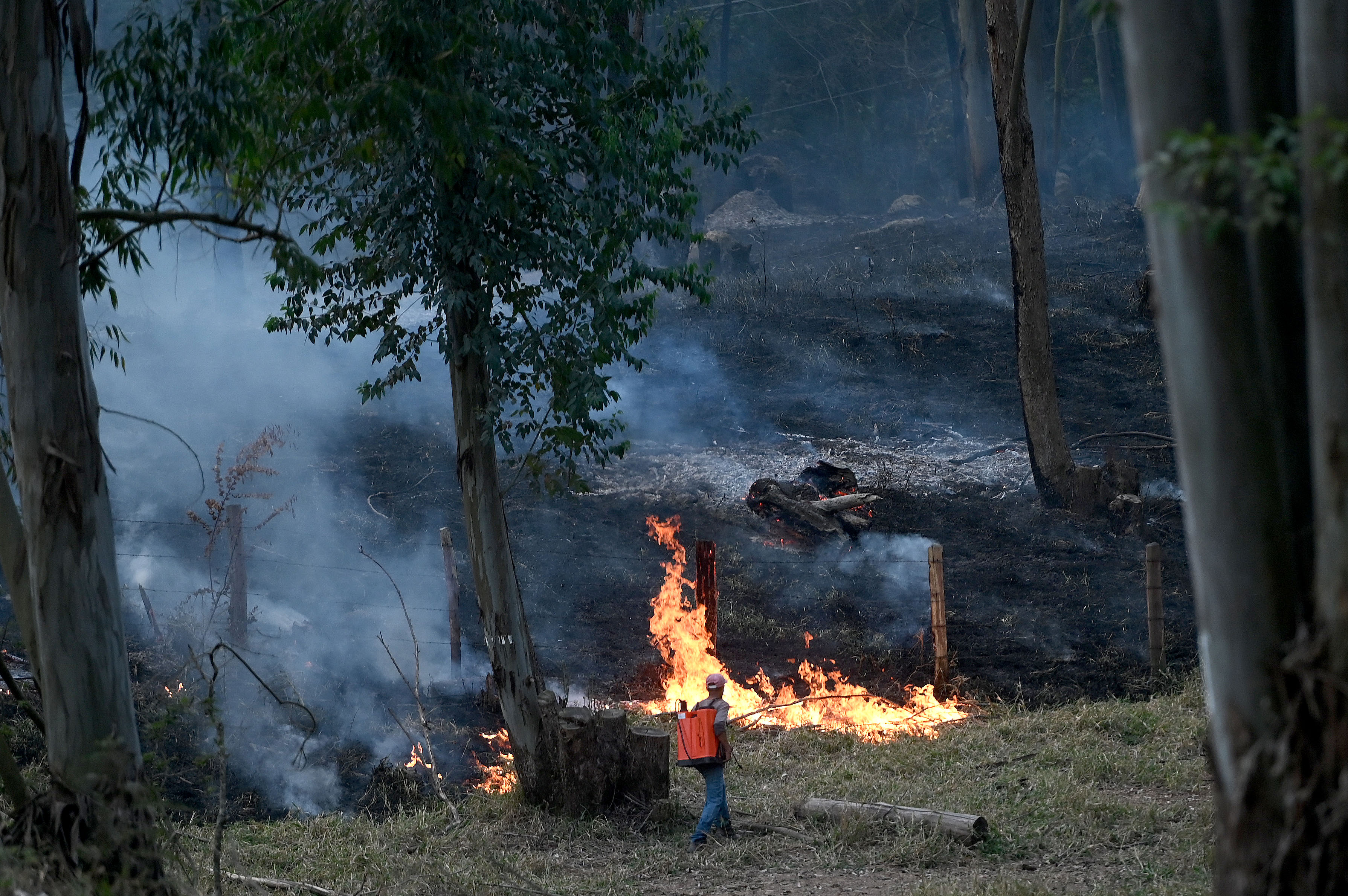  População deve acionar o Corpo de Bombeiros pelo 193 se avistar uma queimada; cenário de risco exige atenção, união de esforços e respostas rápidas