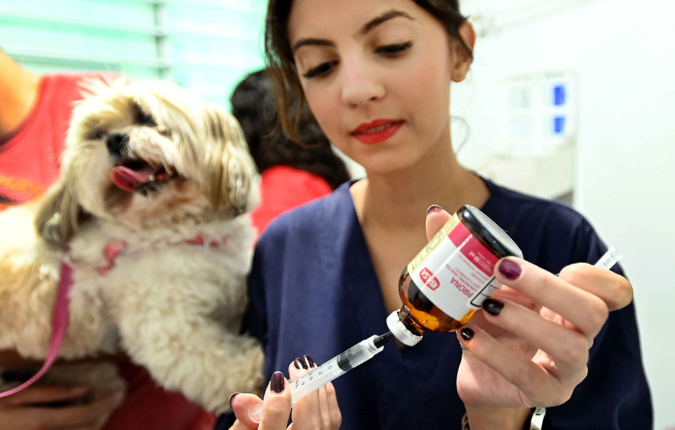 Consultório Veterinário Móvel leva atendimento gratuito a cães e gatos para a Região Noroeste de Campinas