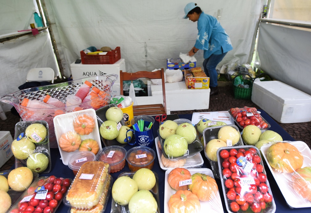 Programação inclui concursos, praça de alimentação, horta comunitária e espaço infantil
