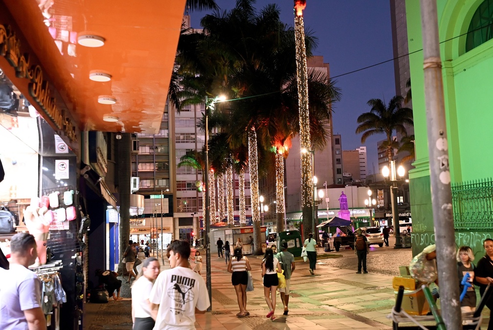 As ávores em frente a Catedral Metropolitana também receberam iluminação especial e compõe o clima natalino